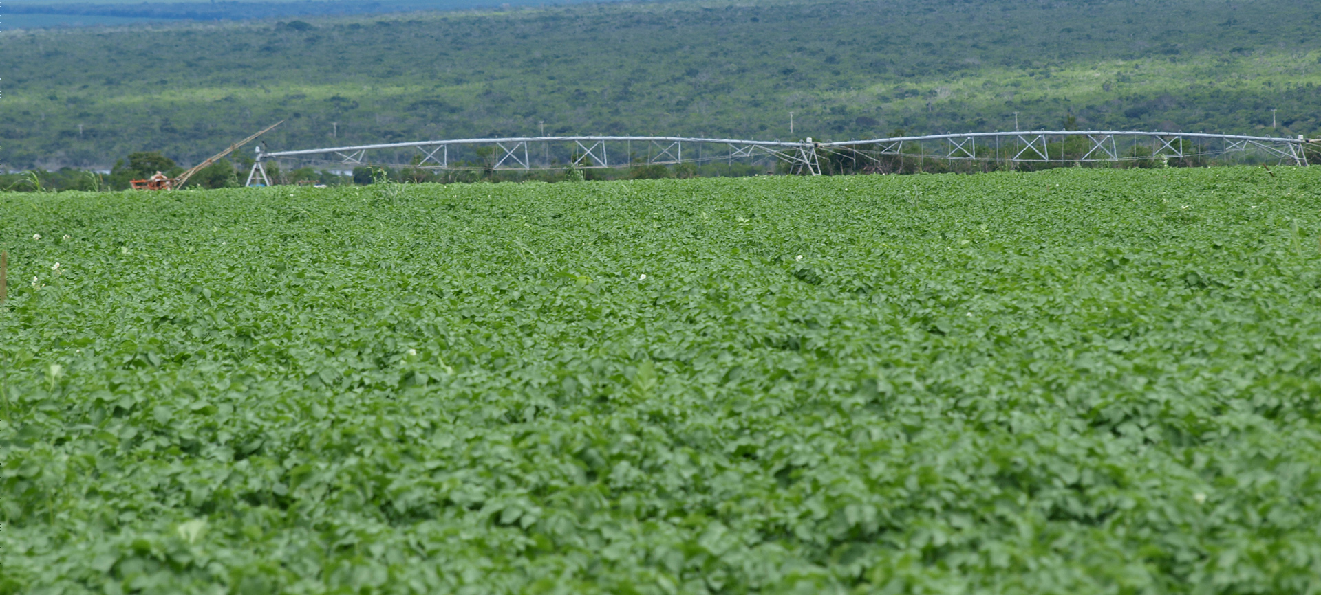 CONHEÇA <br> NOSSOS PRODUTOS